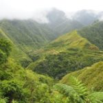 Reisterrassen Banaue